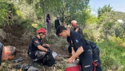 Dağlık alanda otlarken mağaraya düşen inek mağaraya inebilecek kasap bulunamayınca telef oldu