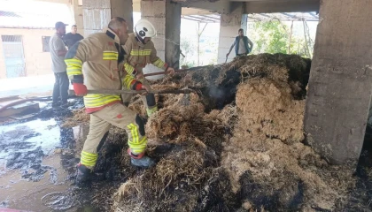 Defnede samanlık yangını