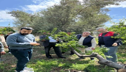 Dolu afeti sonrası hasar tespit çalışmalarına başlandı