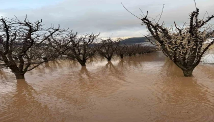 Elmalıda dereler taştı, tarım alanları sular altında kaldı