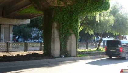 Feci kazada hayatını kaybeden kız, gelinlik ve duvakla uğurlandı