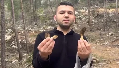 Fekede kuzu göbeği bereketi