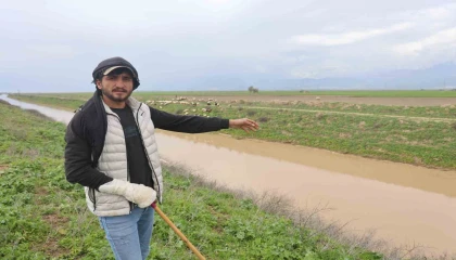 Günlerdir kayıp olarak aranan şahsın cansız bedenini derede çoban buldu