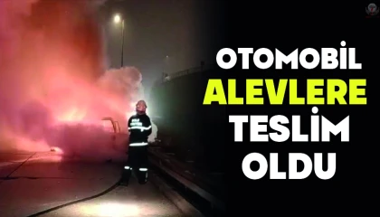 Hassada otomobil alevlere teslim oldu