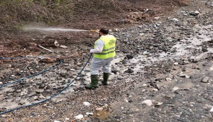 Hatay Büyükşehir Belediyesi haşereyle mücadele çalışmalarına devam ediyor