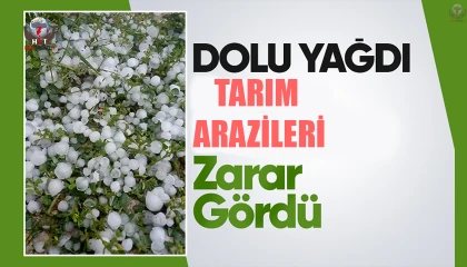 Hatay'da Dolu Zararı: Tarım Arazileri Zarar Gördü