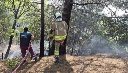 İskenderunda orman yangını kontrol altına alındı