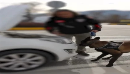 Ispartada 1 haftalık narkotik operasyonlarında 4 şüpheli tutuklandı