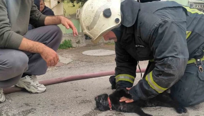 İtfaiye eri yangında dumandan etkilenen kediyi kalp masajı ile hayata döndürdü