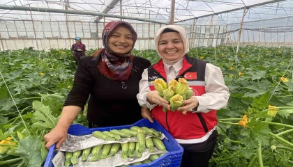 Kadın çiftçi hem üretiyor hem ihraç ediyor hem de pazarda satıyor