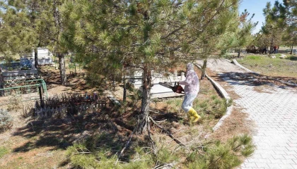 Kahramanmaraşta mezarlıklarda yenileme başladı