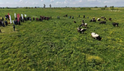 Kozanda ıslah edilen mera alanı dualarla açıldı, sürüler alanda otlamaya başladı