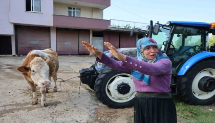 Kozandaki selde hayvanları telef olan kadın: Bir anda sel geldi, ahırın üstünü aştı