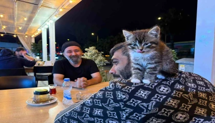 Madde bağımlılığından yavru kedi sayesinde kurtuldu