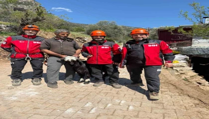 Mahsur kalan 2 keçi, 100 metrelik sarp araziden kurtarıldı