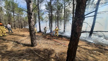 Mersinde orman yangınlarına karşı tatbikat yapıldı