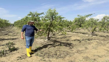 Mersinde selin ardından bahçelerde sular yeni çekildi