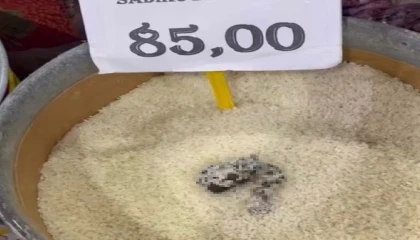 Mersinde skandal görüntü: Pirinçten kedi dışkısı çıkan markete ceza