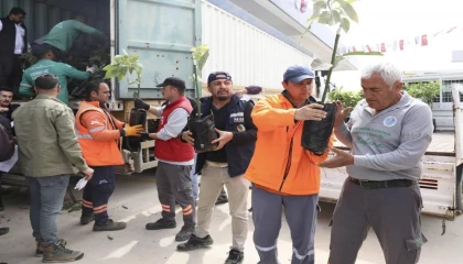 Mersinde üreticiye avokado fidanı ve destek dağıtımı