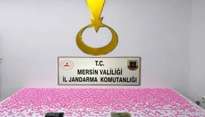 Mersinde uyuşturucu haplarla yakalanan 2 şüpheli tutuklandı