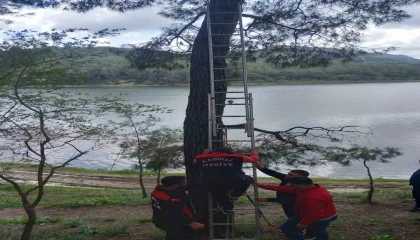 Osmaniyede ağaca takılan kargayı itfaiye kurtardı