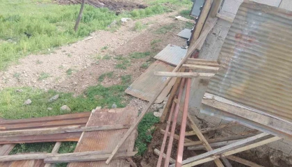 Osmaniyede fırtına ahırın çatısını uçurdu