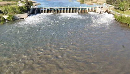 Osmaniyede yağış bereketi: Dereler doldu, yüzler güldü