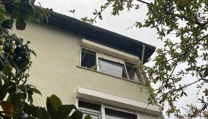 Pencereden bakan ev kedisi itfaiyeyi alarma geçirdi