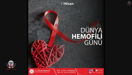 SÖNMEZ: FARKINDALIK HAYAT KURTARIR