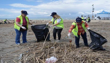 Tarsusta kaplumbağalar için seferberlik