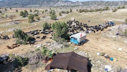 Toroslarda Yörük göçü başladı: Sarıkeçililer yayla yolunda