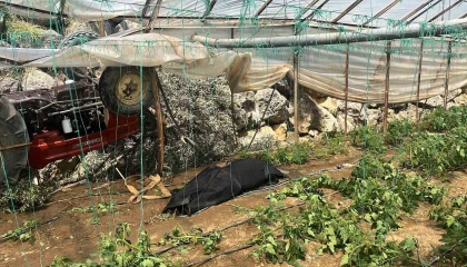 Traktör yol kenarındaki seraya devrildi: 1 ölü