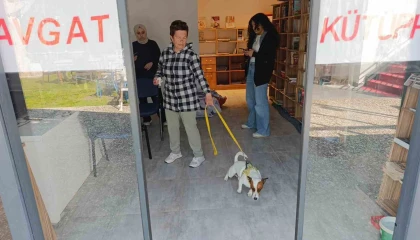 Ukraynalı kadın hayatının şokunu yaşadı, kurt köpeğiyle dalaşan kucağındaki köpeği parmağını parçaladı