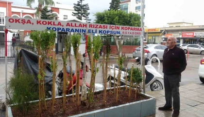 Annesinin çok sevdiği çiçeği, iş yerinin önünde mezarı andıran alanda 40 yıldır yaşatıyor