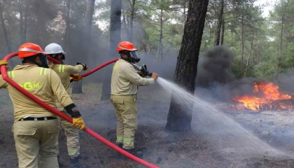 Antalya 2 bin 400 personel, 251 adet hava ve kara aracı ile muhtemel orman yangınlarına hazır