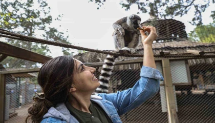 Antalya Doğal Yaşam Parkında yavru lemur sevinci