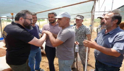 Antalyada kurban pazarında son kozlar oynandı: Zor belayla aldık, çok pazarlığını yaptık