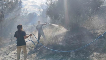 Antalyada ormanlık alanda yangın