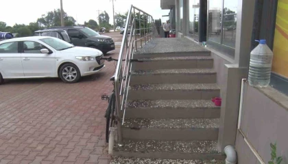 Antalyada yabancı uyruklu şahıs kedinin üzerine bastı, köpeği tekmeledi