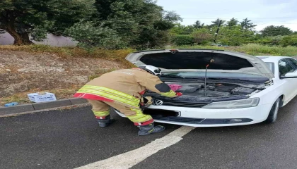 Arsuzda otomobilin motoruna giren kediler kurtarıldı