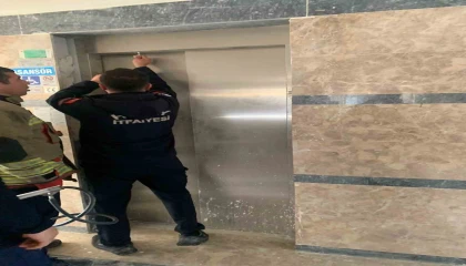 Asansör boşluğuna düşen yavru kediyi itfaiye kurtardı