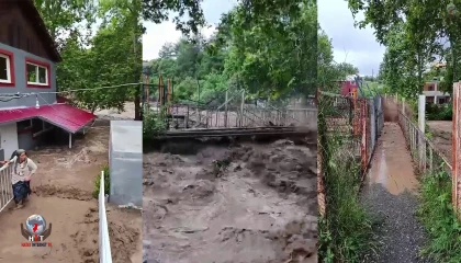 Aşırı yağışla birlikte taşan dere evleri su altında bıraktı