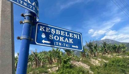 Belediye çalışanlarından örnek davranış: Çöp konteynerinde ölüme terk edilen kaplumbağayı kurtardılar