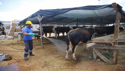 Büyükşehirden 6 farklı noktada ücretsiz kurban kesim hizmeti