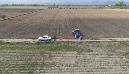Çukurovada arazilerini dolu vuran üretici mısırı söküp ayçiçeğine yöneldi