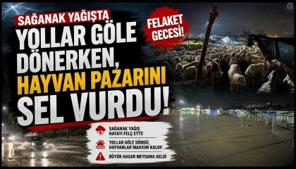 Dörtyolda sağanak yağışta yollar göle dönerken, hayvan pazarını sel vurdu