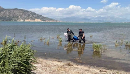 Eğirdir Gölünde 100 metrelik yasa dışı ağ ele geçirildi