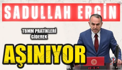 ERGİN: TBMM PRATİKLERİ GİDEREK AŞINIYOR