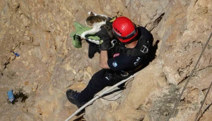 Falezlerde mahsur kalan kedi, itfaiyenin 1 saatlik çalışmasıyla kurtarıldı