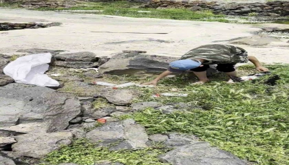Göldeki çöpleri toplayan çocuk çobandan sitem: Hayvanlar kirletmiyor, siz kirletiyorsunuz